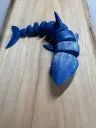 flexishark2.webp